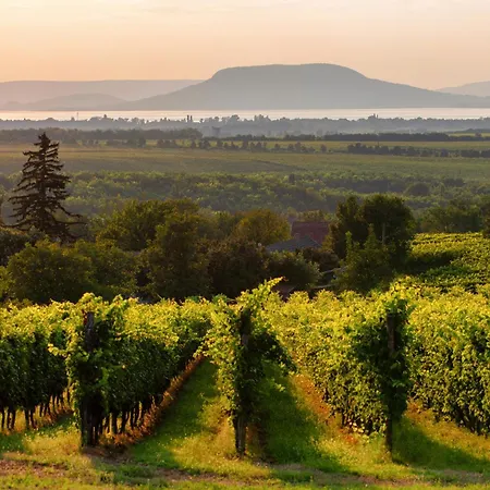 In 40848 بيت للعطل *