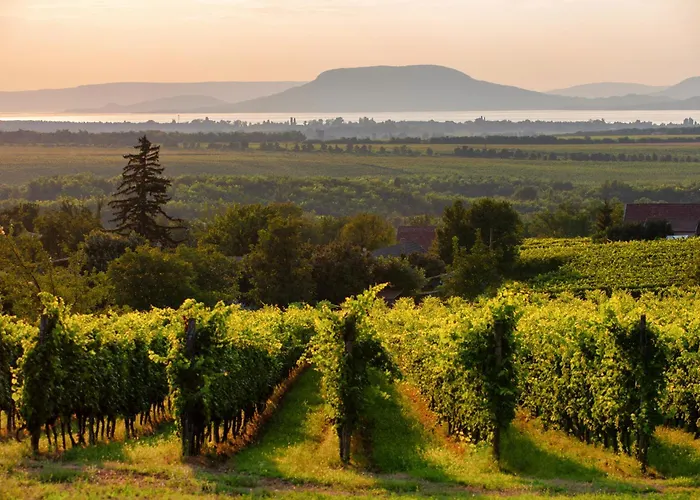 In 40848 بيت للعطل *